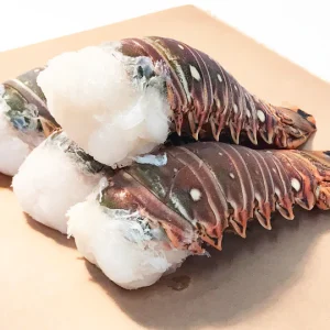 Warm Water Lobster vs Maine Lobsters