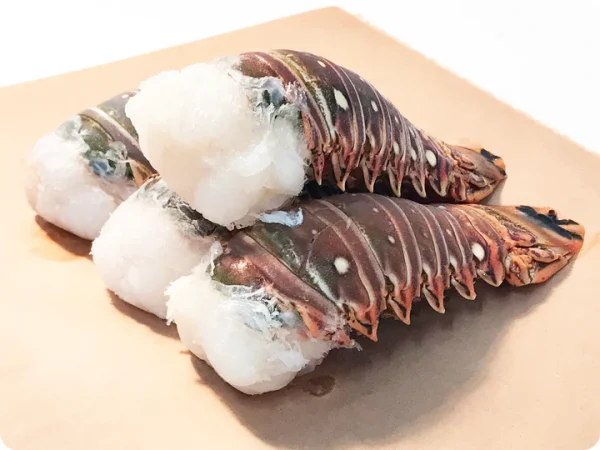 Warm Water Lobster vs Maine Lobsters