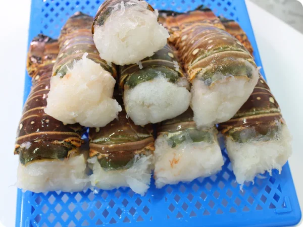 Warm Water Lobster Tails